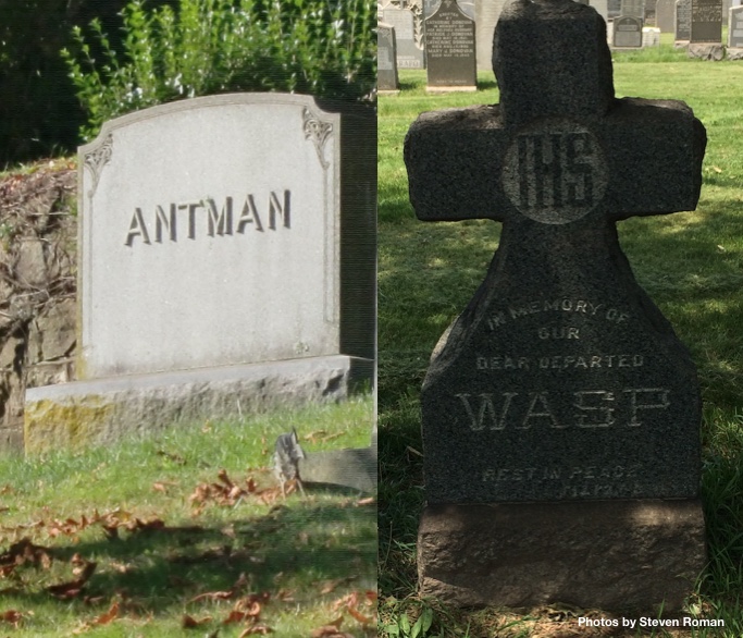 Antman-Wasp-Graves